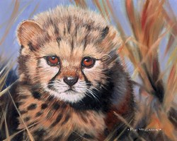 Cheetah Cub by Pip McGarry - Original Painting, Canvas on Board sized 10x8 inches. Available from Whitewall Galleries
