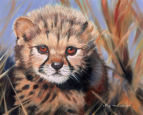 Cheetah Cub by Pip McGarry - Original Painting, Canvas on Board